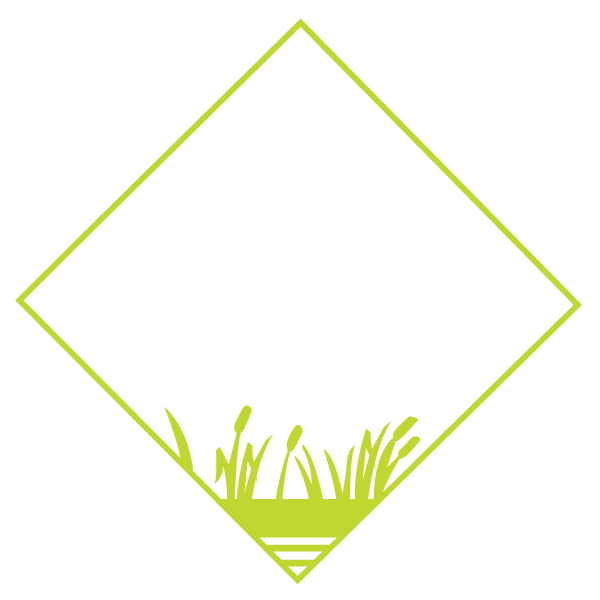line-testing-icon Line Testing Icon