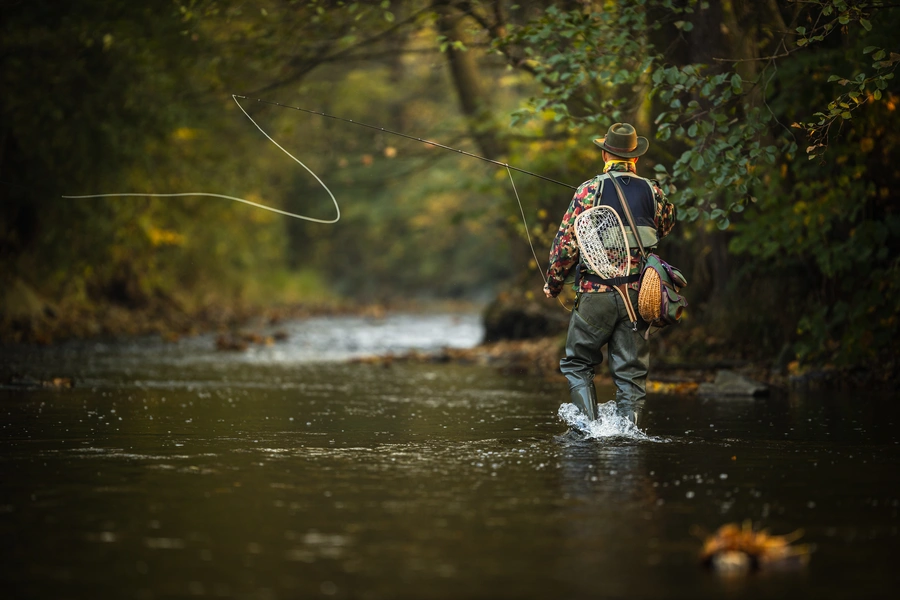 Beginner’s Guide to Fly Fishing