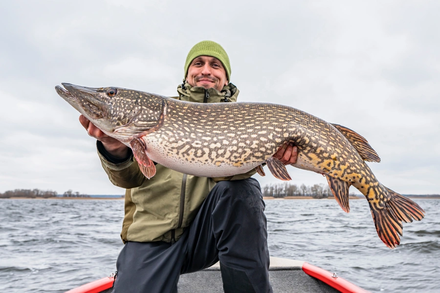 pike fishing