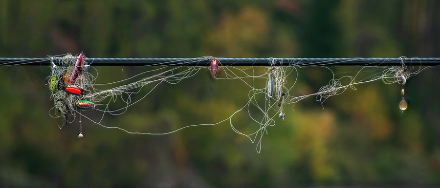 tangled fishing line